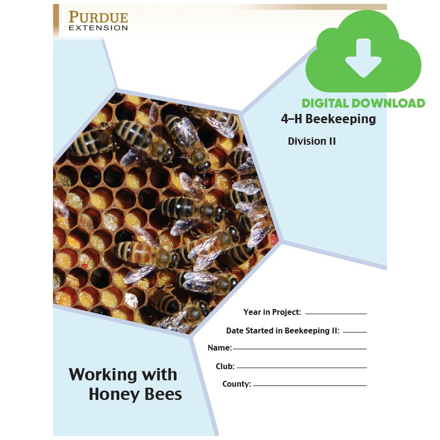 4-H Beekeeping Division II: Working With Honey Bees - Digital Download –  Shop 4-H