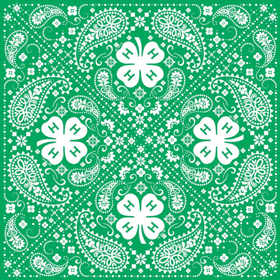 4-H Paisley Print Bandana – Shop 4-H