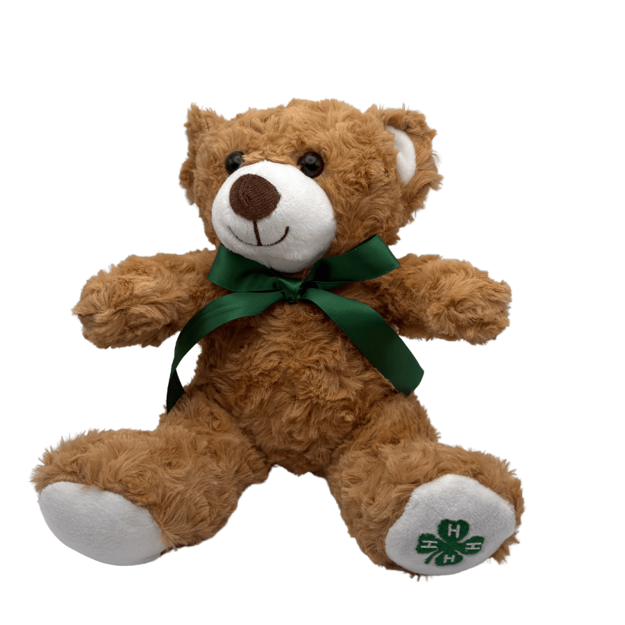 その他 teddybear 4 chil 4-H Teddy Bear – Shop 4-H