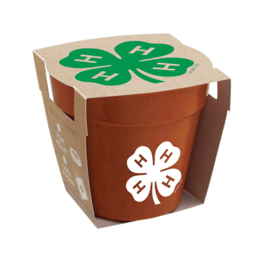 Grow Your Own 4-H Clovers Kit – Shop 4-H