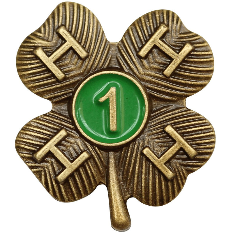 1 Year Bronze Award Pin - Shop 4-H