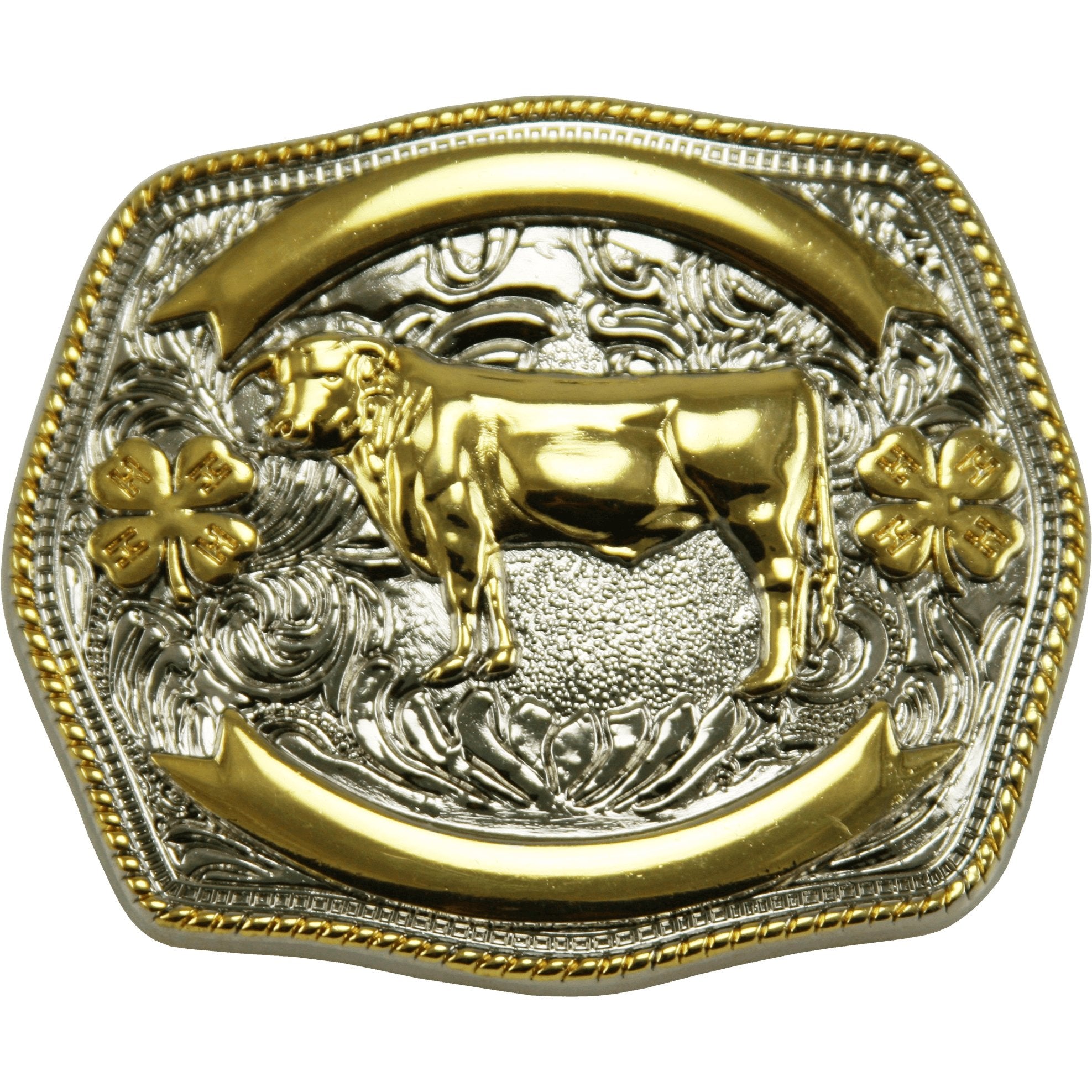 and gold buckle