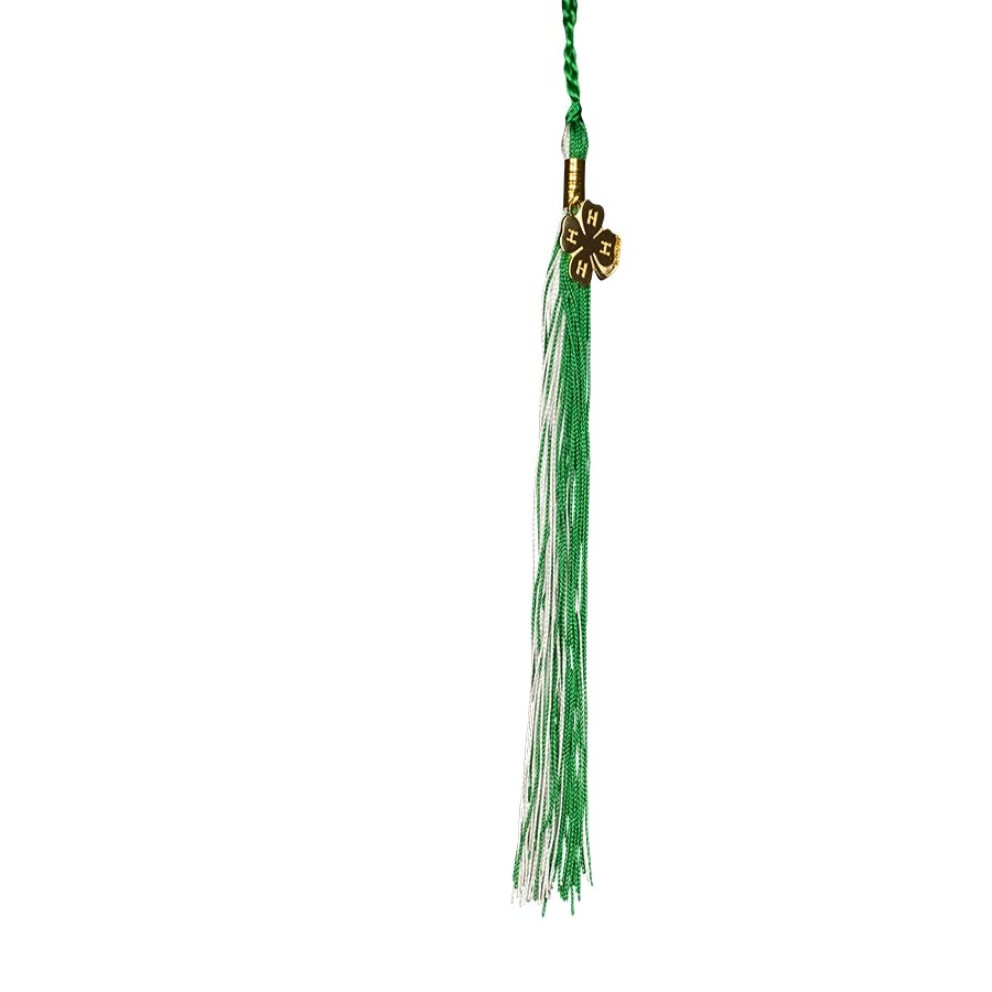 Graduation Tassel Keychain