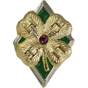 Amethyst Clover of Excellence - Shop 4-H