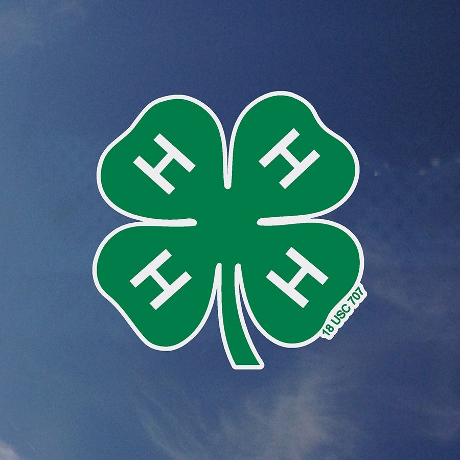 Clover Decal – Shop 4-H
