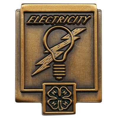 Electricity Pin - Shop 4-H