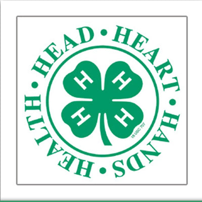 Head Heart Hands Health Temporary Tattoo - Shop 4-H