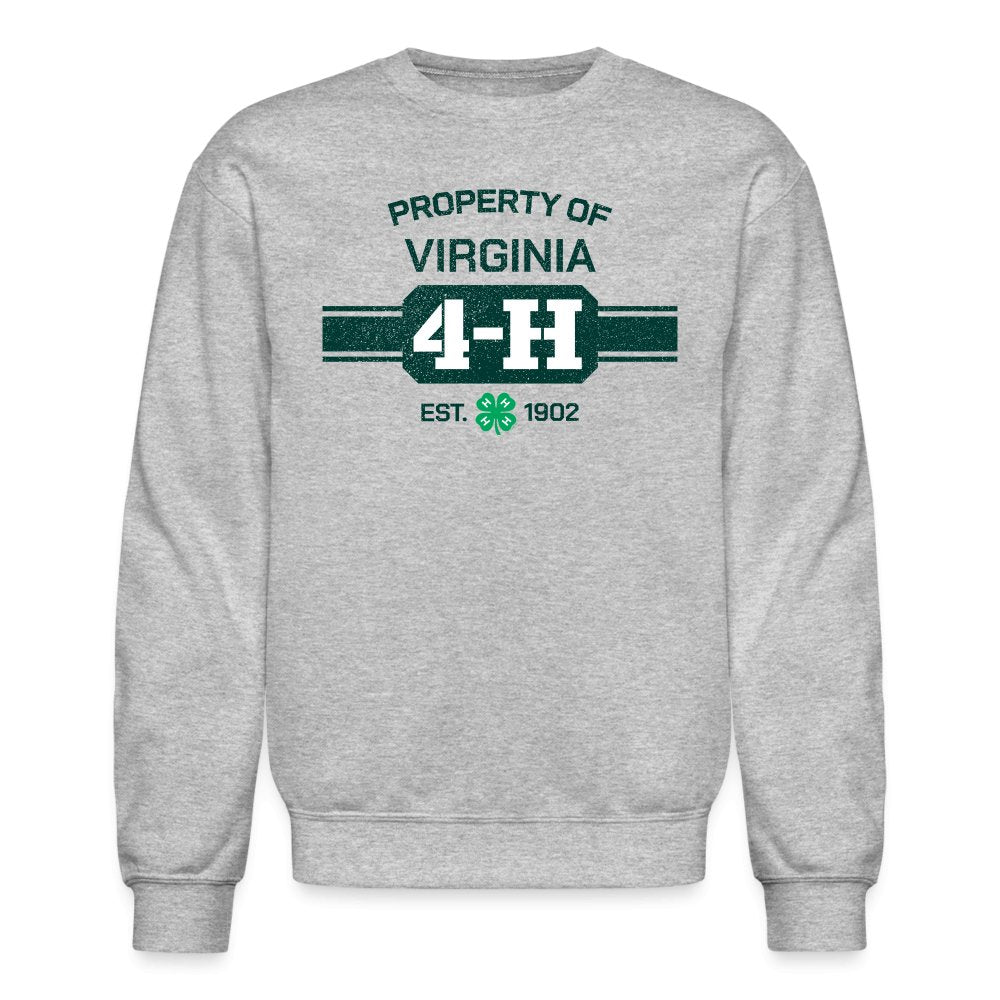 Virginia crew neck on sale sweatshirt