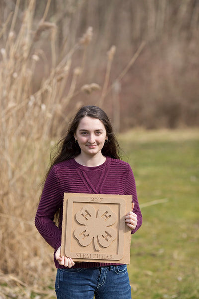 Indiana 4-H Woodworking Project