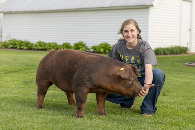 Indiana 4-H Swine Project