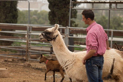 Wisconsin Llamas & Alpacas Curriculum Collection