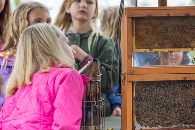 Indiana 4-H Beekeeping Project
