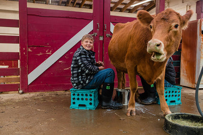 Wisconsin Dairy Curriculum Collection