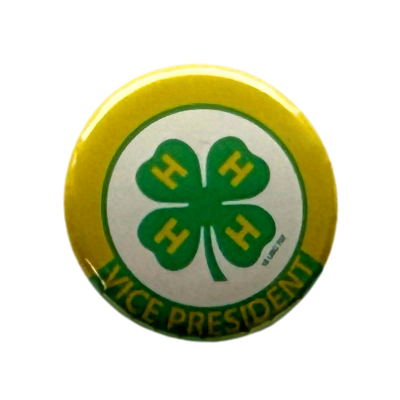 Vice President Button