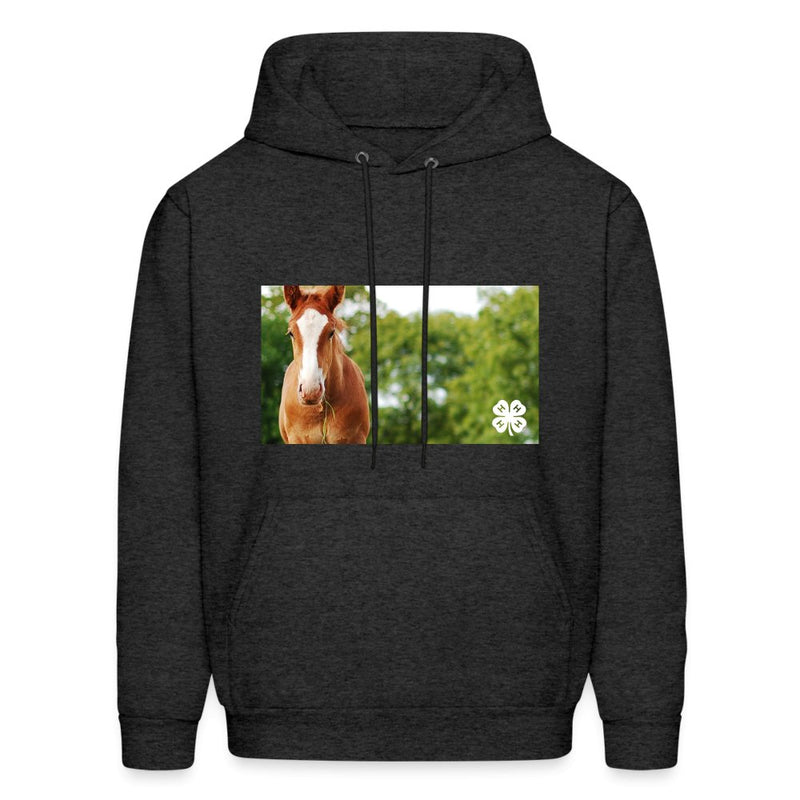 4 - H Horse Lifestyle Hoodie - Shop 4 - H