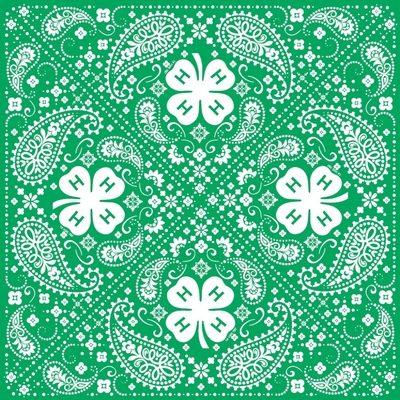 4 - H Paisley Print Bandana - Shop 4 - H