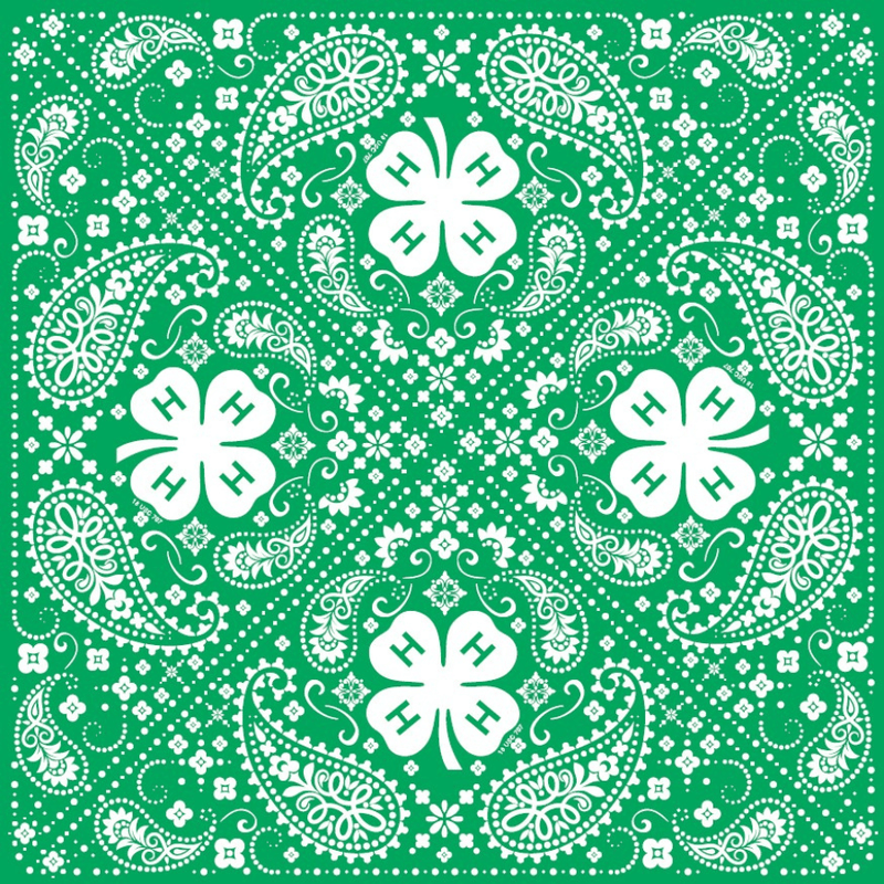 4 - H Paisley Print Bandana - Shop 4 - H