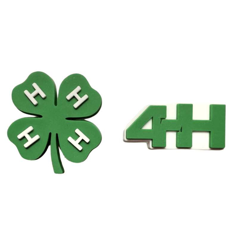 4 - H Shoe Charm - Set of 2 - Shop 4 - H