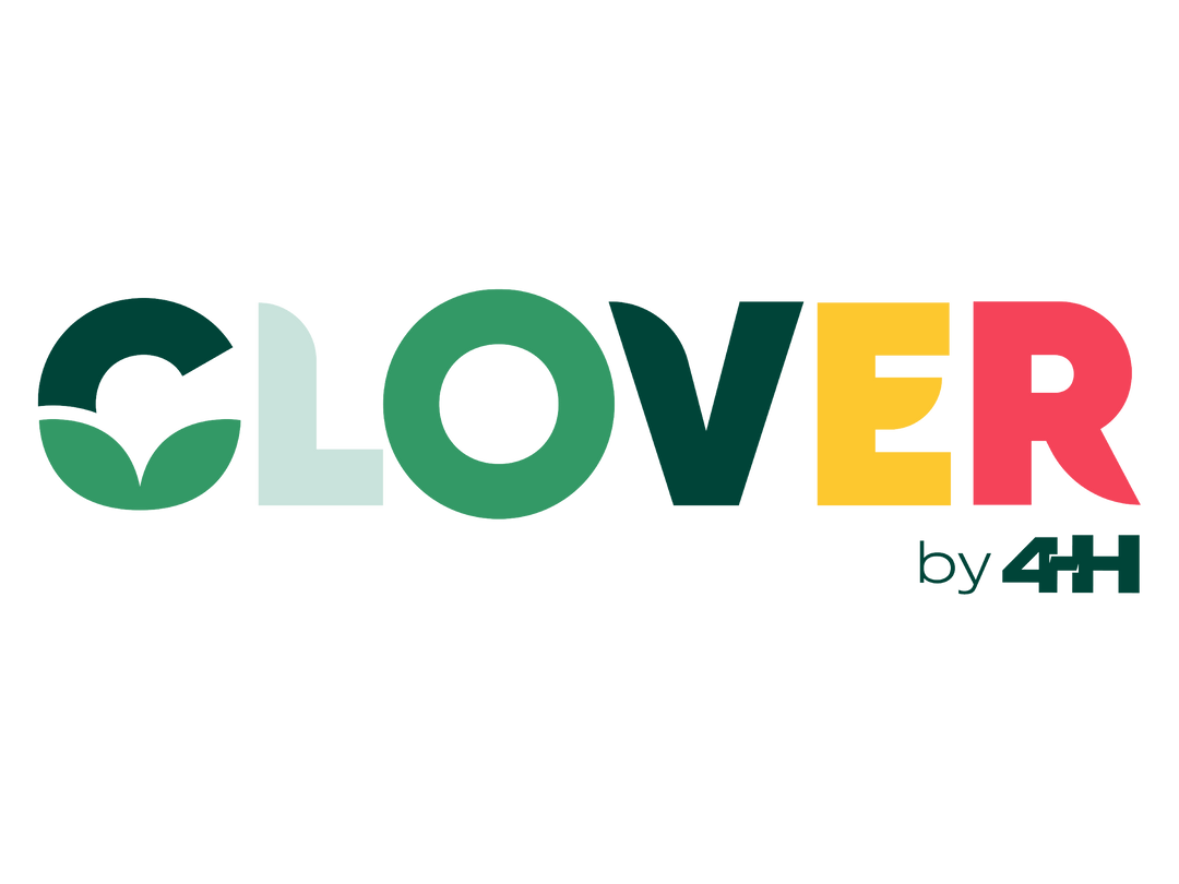 Thank You Card Pack Clover Set – Shop 4-H