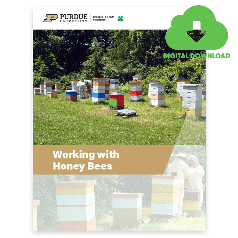 Level 2: Working with Honey Bees - Digital Download - Shop 4 - H