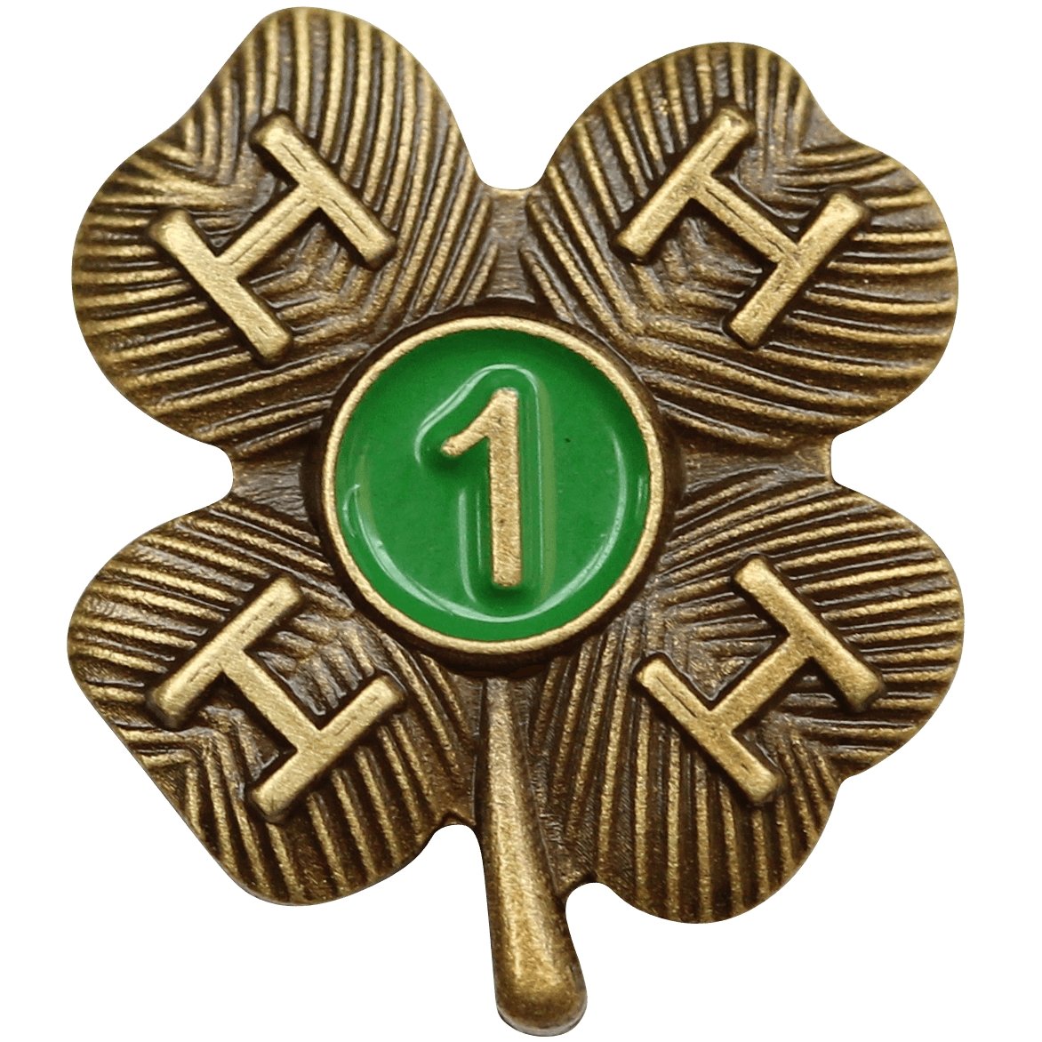 1 Year Bronze Award Pin Shop 4H
