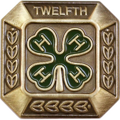 12th Year Member Bronze Pin - Shop 4-H