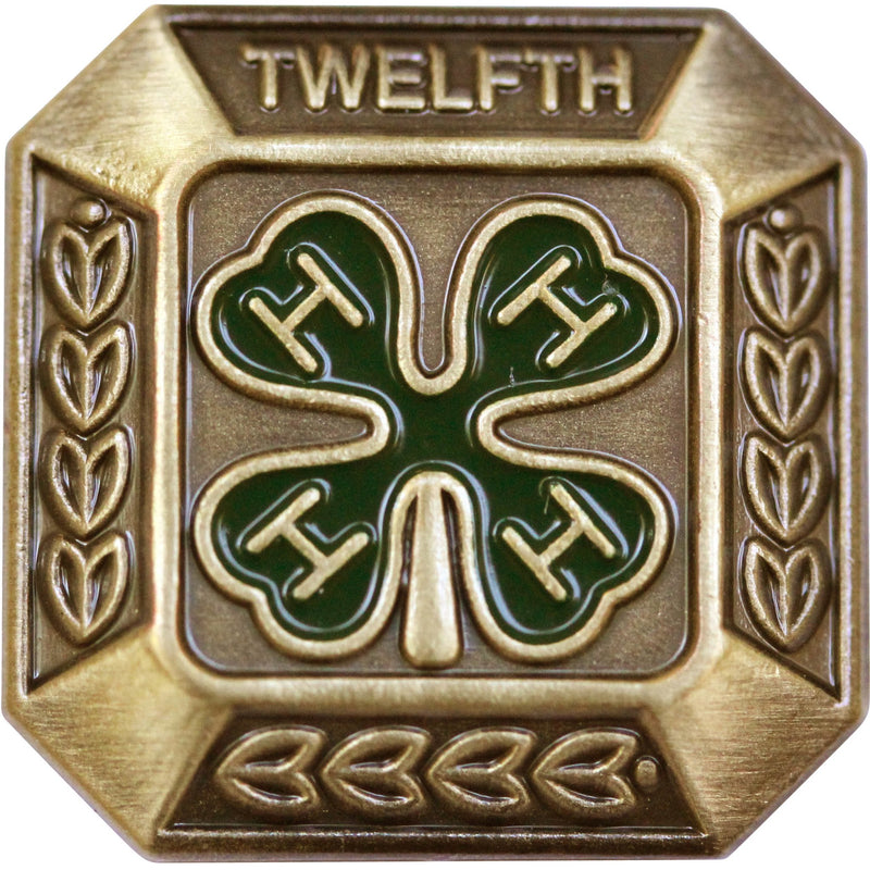 12th Year Member Bronze Pin - Shop 4-H