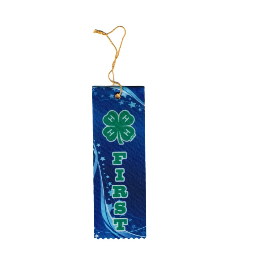 Red First Place Ribbon