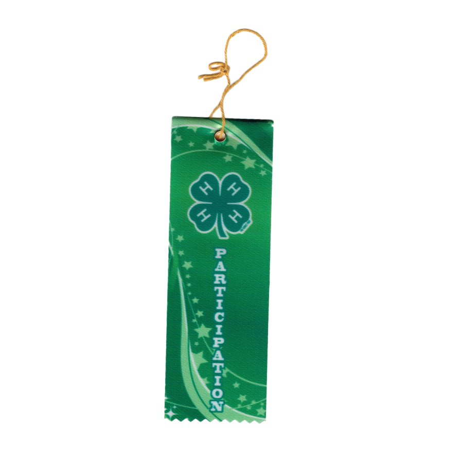 2” x 6” Green 4-H Participation Award Ribbon – Shop 4-H