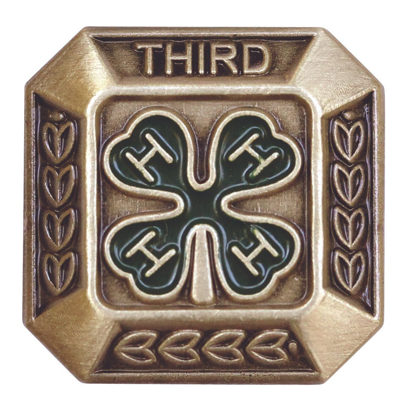 3rd Year Member Bronze Pin - Shop 4-H