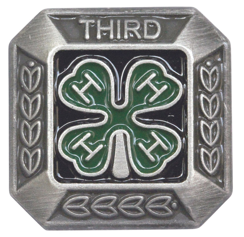 3rd Year Member Silver Pin - Shop 4-H