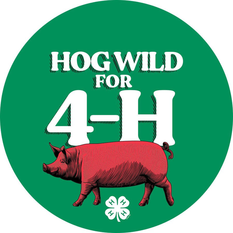 4-H Hog Wild Sticker - Shop 4-H