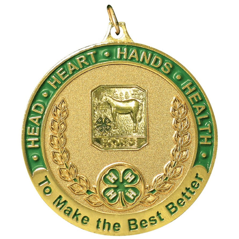4-H Horse Medal - Shop 4-H