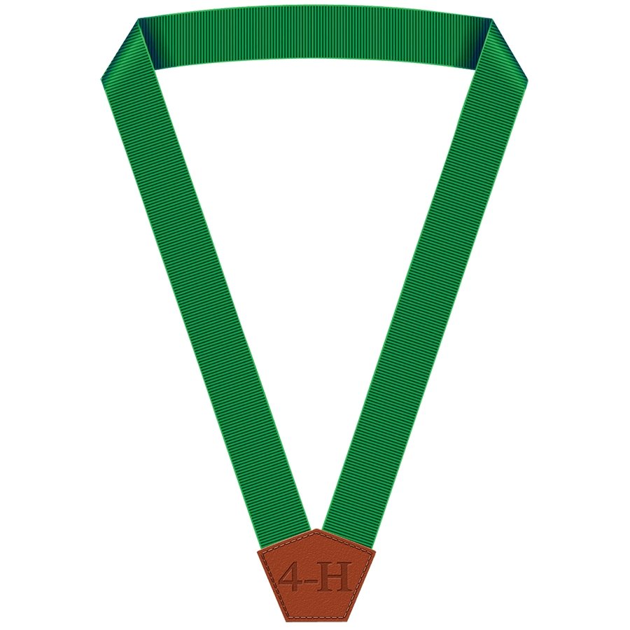 4rt Ribbon 4-H Member Achievement Ribbon – Shop 4-H
