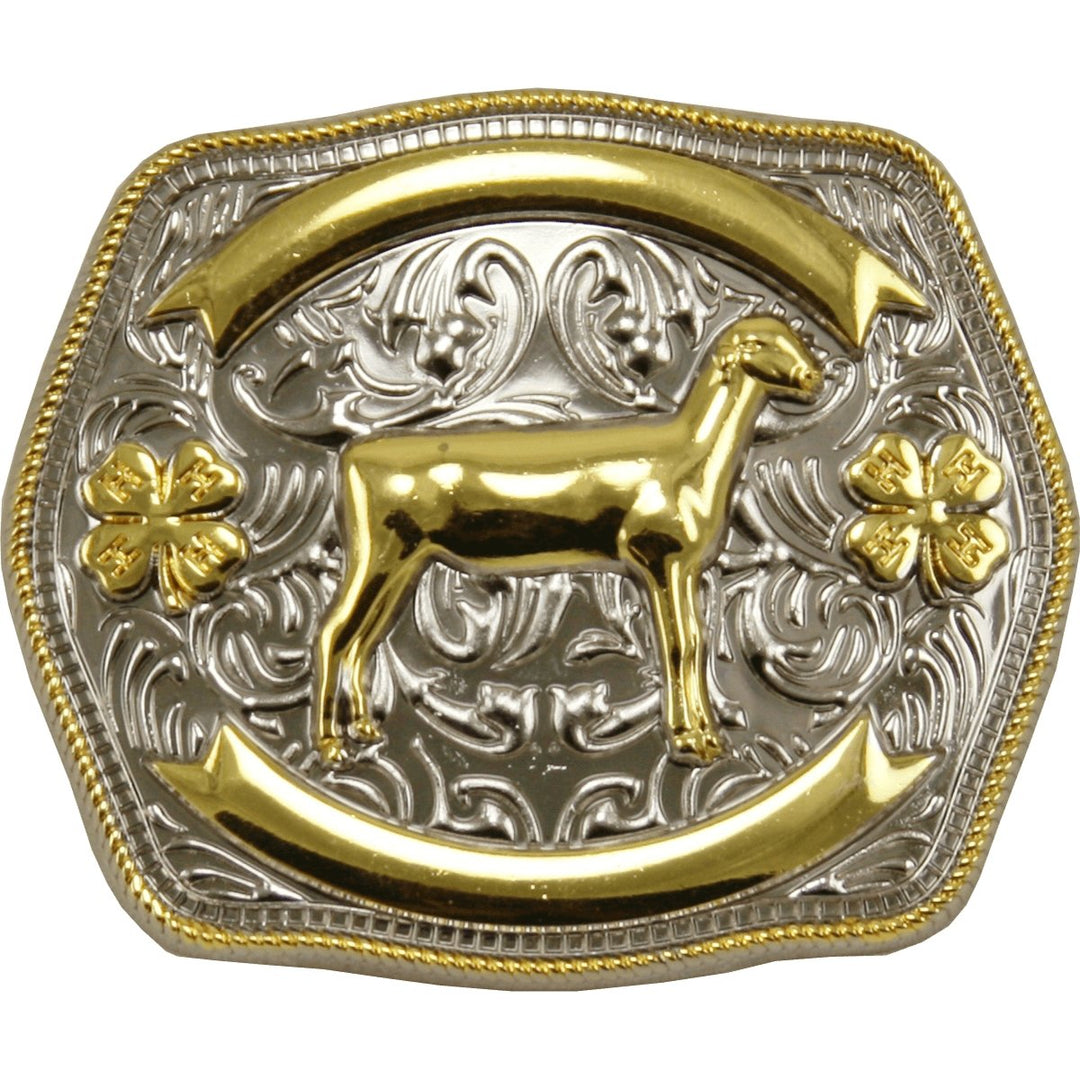 Belt deals Buckle