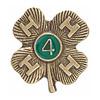 4 Year Bronze Award Pin - Shop 4-H