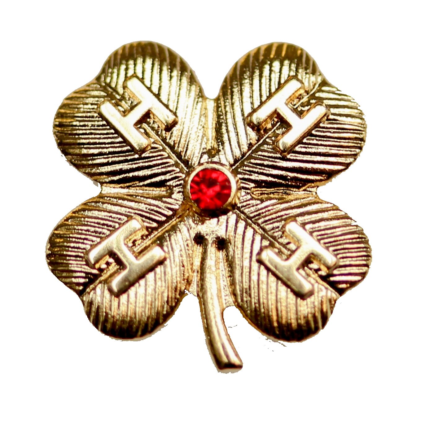 Service Pin Ruby 50 Year Ruby Award Pin – Shop 4-H