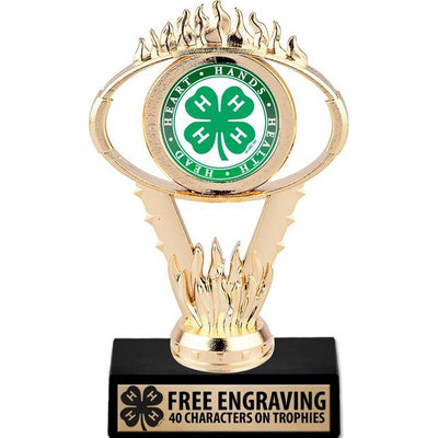 6" Oval Trophy with Insert Choice - Shop 4-H