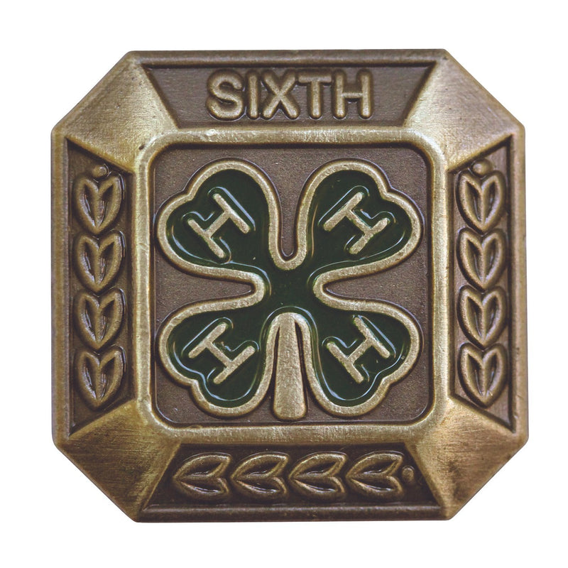 6th Year Member Bronze Pin - Shop 4-H