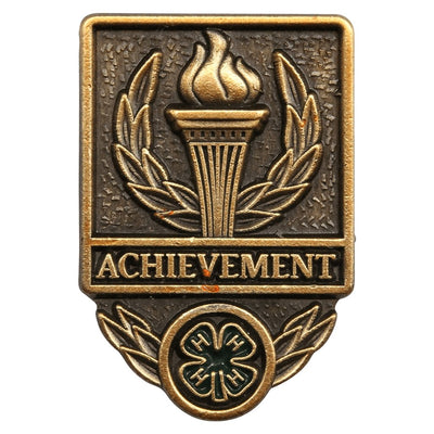 Achievement Pin - Shop 4-H