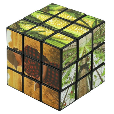 Ag Puzzle Cube - Shop 4-H