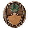 Bronze Blank Project Pin - Shop 4-H