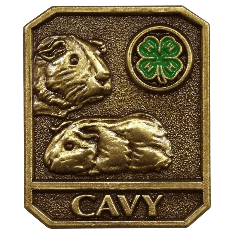 Cavy Pin - Shop 4-H