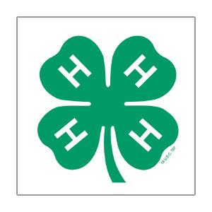 4-H Double Honor Cords with Fob – Shop 4-H