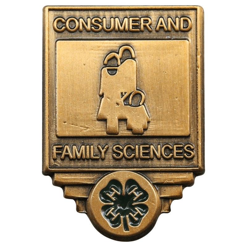 Consumer & Family Sciences Pin - Shop 4-H