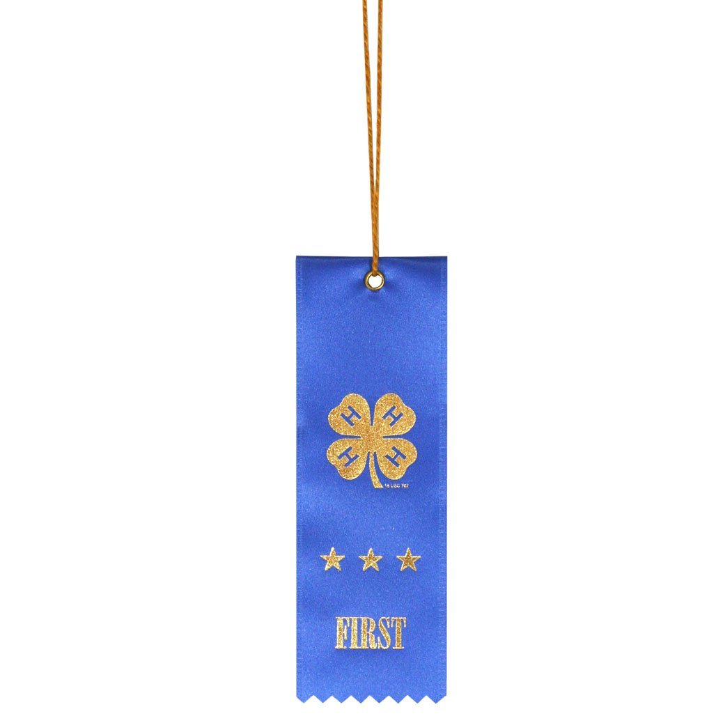 4rt Ribbon Custom 4-H 2