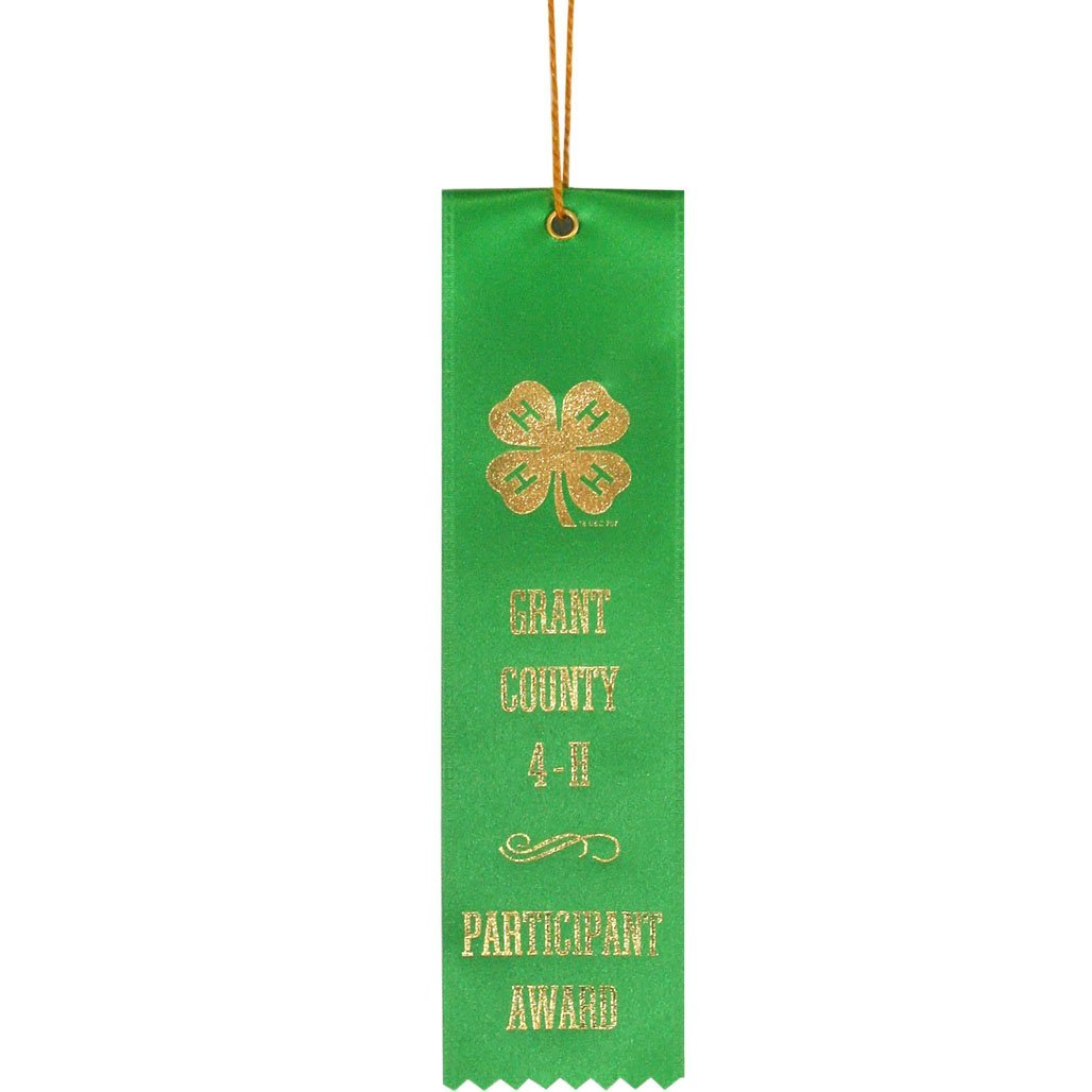 4rt Ribbon Custom 4-H 2