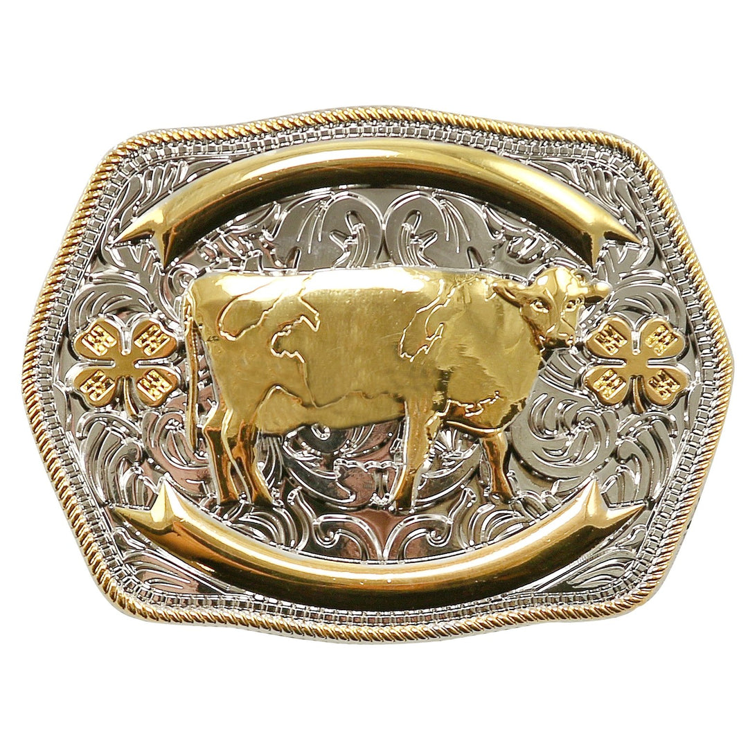 Belt store buckle