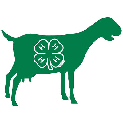 4-H Dairy Goat Custom Belt Buckle – Shop 4-H