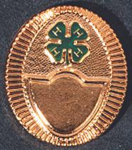 Gold Plate Project Pin - Shop 4-H